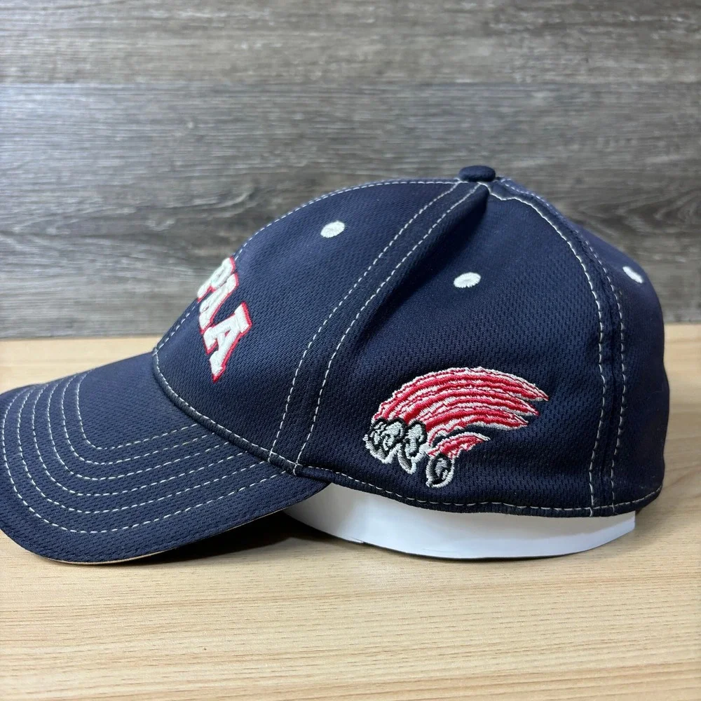 Blaine Spring Lake Park Hat Cap Fitted L/XL‎ Blue Panthers Football Minnesota